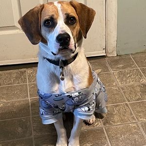 Meet your Posher, Abraham